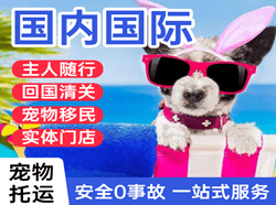 西双版纳嘎洒机场快递国际宠物托运 【国